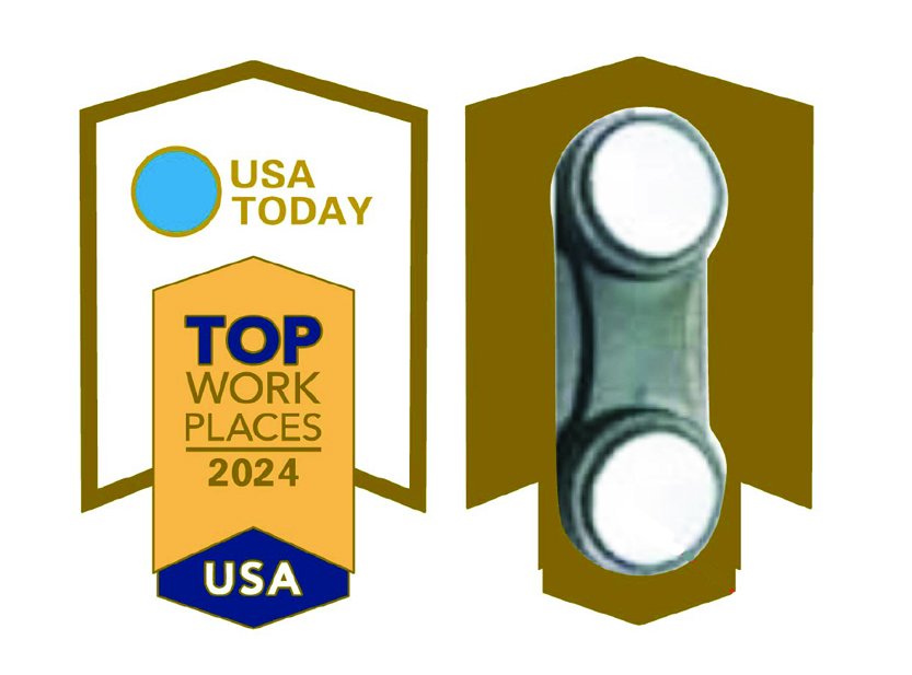 2024 National Award Lapel Pins (Box of 50) - $179.00
